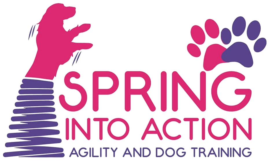 Spring Into Action Agility and Dog Training